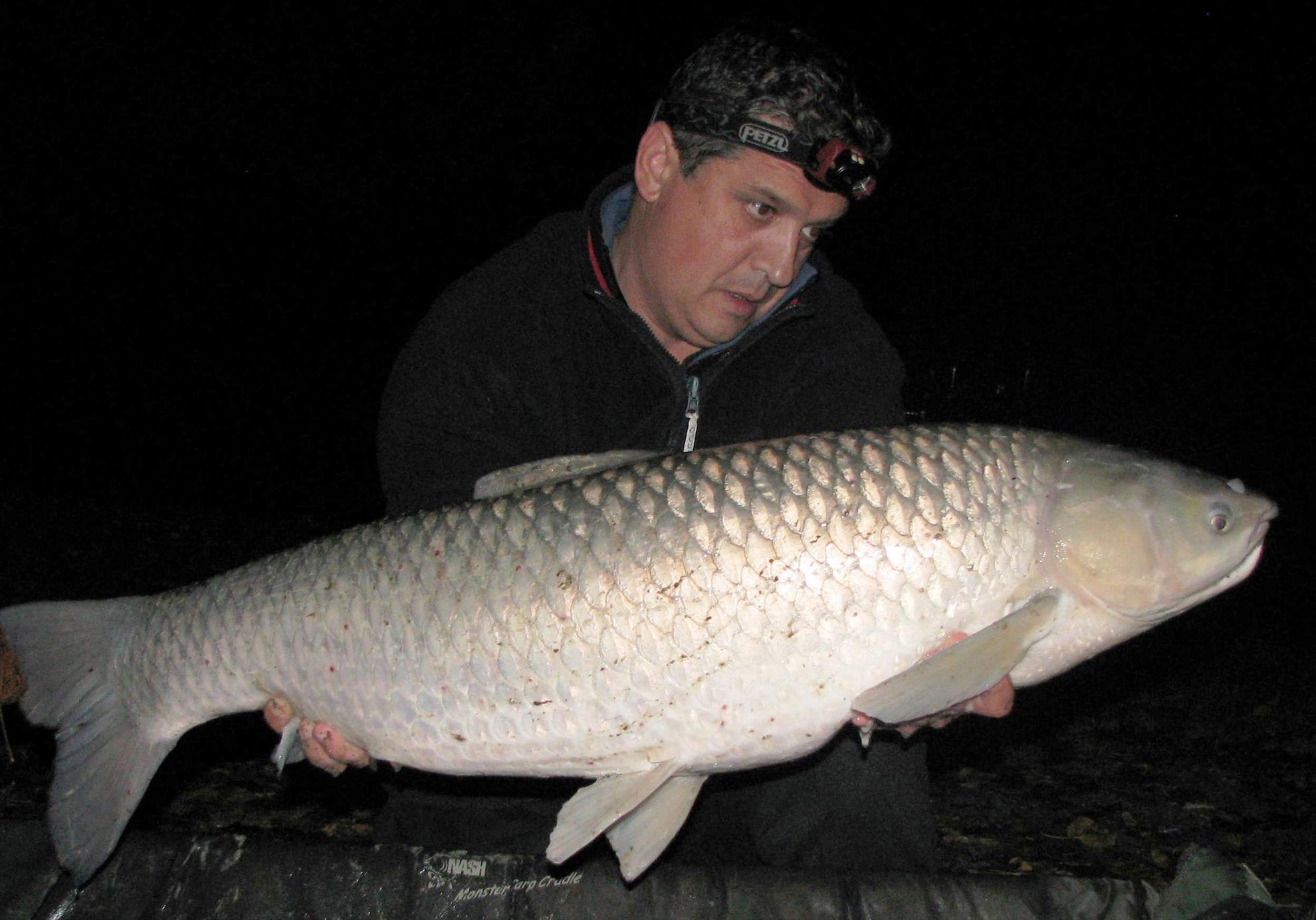 Balkan lake 26 oct. - 2 nov. - 153kg1.JPG